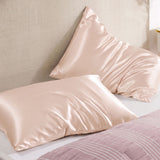 Audreamy 100% Mulberry Silk Pillowcase