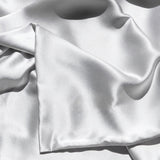 Audreamy 100% Mulberry Silk Pillowcase