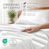 27529032